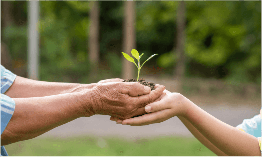 elderly-person-children-holding-plant